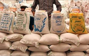 سرانه مصرف برنج ۱۵درصد کمتر شد/ شکر گران نمی‌شود