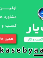 هزار توی مشاوران کسب و کار