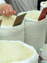 احتمال کمبود برنج خارجی در کشور