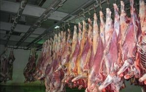 آخرین قیمت گوشت قرمز در بازار/ گوشت گوساله گران شد
