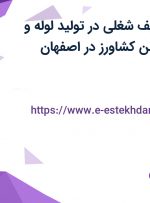 استخدام 13 ردیف شغلی در تولید لوله و اتصالات پلی اتیلن کشاورز در اصفهان