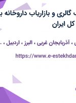 استخدام بازاریاب گالری و بازاریاب داروخانه با حقوق و مزایا در کل ایران