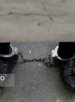 دستگیری ضارب مامور بهداشت تنگستانی