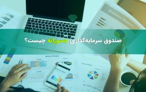 سرمایه گذاری در صندوق‌های جسورانه نیازمند پذیرش ریسک است