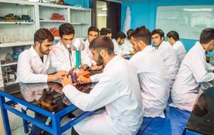 متوسطه اول و دوم علوی، بهترین انتخاب برای فرزندان شما