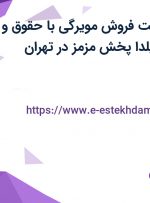 استخدام سرپرست فروش مویرگی با حقوق و مزایای عالی در یلدا پخش مزمز در تهران