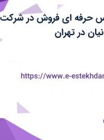 استخدام کارشناس حرفه ای فروش در شرکت آشیان یزدان ایرانیان در تهران