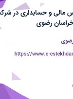 استخدام کارشناس مالی و حسابداری در شرکت نوین زعفران در خراسان رضوی