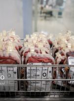 ۱۰۴۷ محموله خون در همه گیری کرونا به سیستان و بلوچستان ارسال شده است