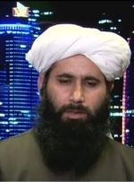 طالبان ارائه طرح صلح به کابل را تکذیب کرد