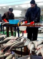 ۲۰۰ گرم فیله ماهی ۳۰۰ هزار تومان/ جدول قیمت انواع ماهی در بازار