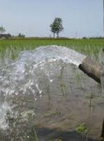 مصرف آب بخش کشاورزی باید مدیریت شود/ مهمترین اولویت آبی دولت سیزدهم چیست؟