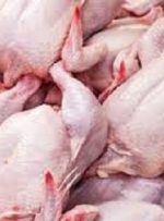 حذف مالیات ۱۲۰ هزار تن مرغ منجمد وارداتی