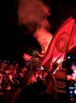 واکنش سازمان ملل، اتحادیه اروپا و عرب به تحولات تونس
