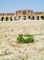 کشاورزان اصفهان خواستار تامین حق‌آبه خود هستند/برگزاری جلسه هماهمگی مسئولان استانی