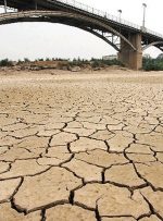 کشت برنج در خوزستان درگیر بحران آب/مهمترین اولویت دولت سیزدهم چیست؟