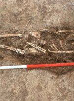 کشف تازه از تدفین انسان در فارس