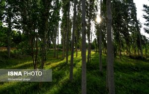 کوچه باغ‌های روستای «خیج» و «کلاته خیج»