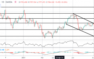 FOMO Friday: آیا شما The Gold Bounce را گرفتید؟