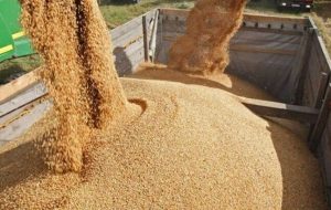 آیا در نهاده های دامی خاک اره وجود دارد؟ آیا در نهاده های دامی خاک اره وجود دارد؟