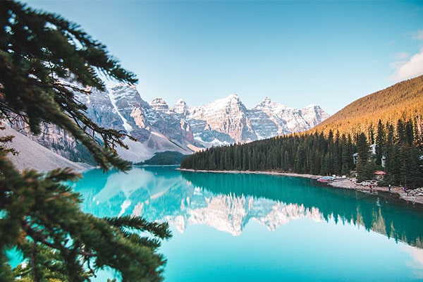 دلایل مهاجرت 