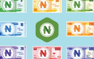 بانک مرکزی نیجریه دستورالعمل های CBDC را فاش کرد ، برنامه راه اندازی کیف پول E-Naira را اعلام کرد-Fintech Bitcoin News