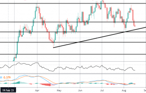 تجارت جولای خرده فروشی ایالات متحده |  تیکمیل
