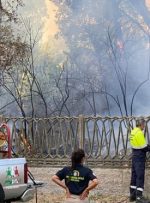تخلیه گردشگران منطقه گرفتار آتش‌سوزی در ایتالیا