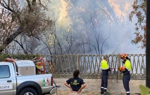 تخلیه گردشگران منطقه گرفتار آتش‌سوزی در ایتالیا