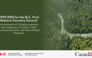 دولت کانادا از مشاغل بومی در بخش جنگلداری حمایت می کند