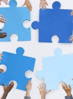 عملکرد قانونمندتر و منظم تر شرکت های بورسی و فرابورسی