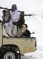 فارن افرز: خطر بازگشت القاعده به افغانستان واقعی است/ طالبان نسبت به این گروه احساس مسئولیت می‌کند