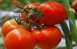 قیمت جدید انواع میوه و سبزی+ جدول