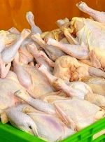 مسئولیت نظارت بر بازار مرغ بر عهده کیست؟