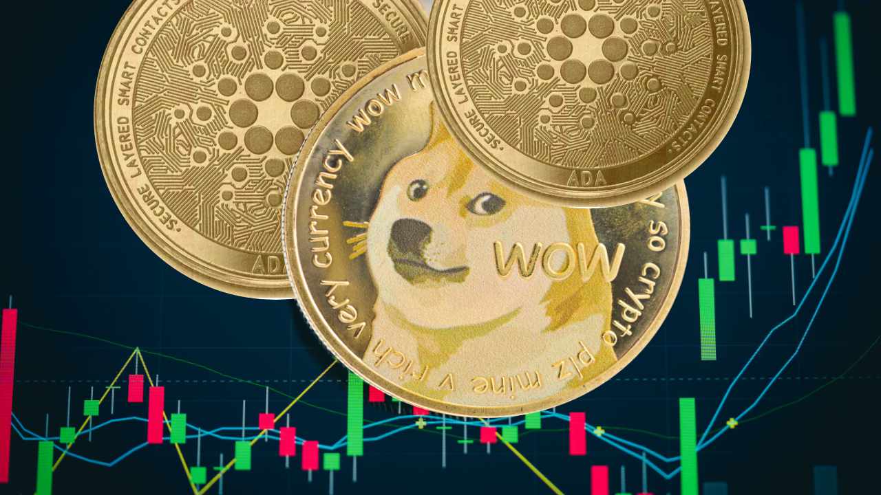 میلیونر Dogecoin می گوید که در کاردانو 