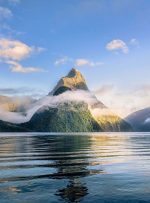 نیوزیلند پذیرای گردشگران بین‌المللی می‌شود