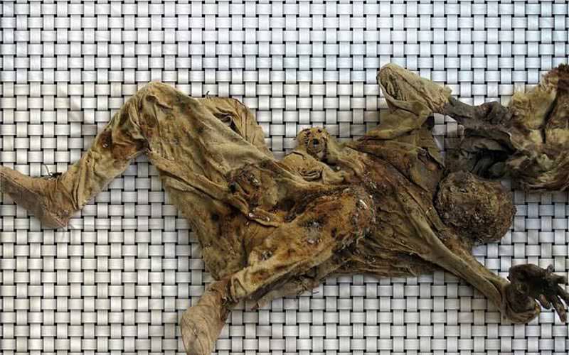 موزه مردان نمکی