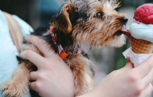 به روز رسانی هزینه گاز “به اشتباه بالا” که هزینه موقت DeversiFi 23.7 میلیون دلار است – CoinDesk به روز رسانی هزینه گاز “به اشتباه بالا” که هزینه موقت DeversiFi 23.7 میلیون دلار است – CoinDesk