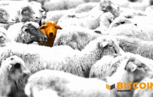 Bitcoin Asset Solve Store of Value