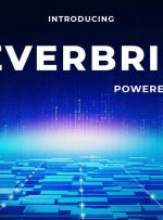 EverRise علامت بازخرید و اکوسیستم dApps را به Polygon و Ethereum می آورد – بیانیه مطبوعاتی Bitcoin News