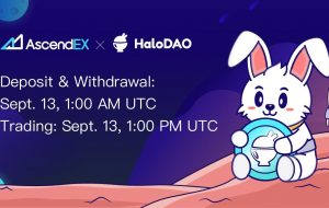 HaloDAO لیست AscendEX – بیانیه خبری Bitcoin News