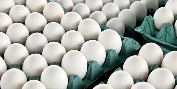 هر شانه تخم مرغ چند قیمت خورد؟