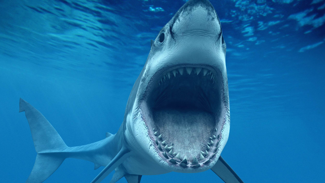 دادستان سابق فدرال می گوید: 