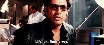 زندگی راهی پیدا می کند