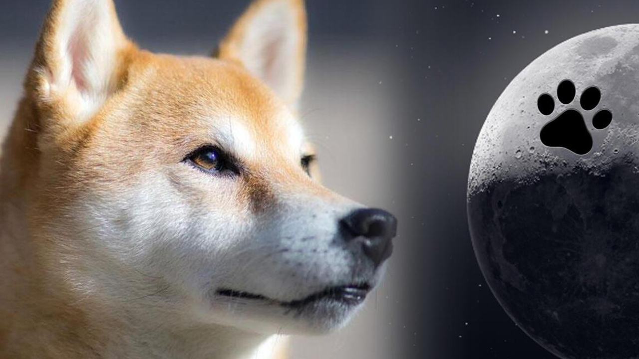 سقوط چهارپایه Dogecoin-DOGE در ماه گذشته 18 ro کاهش یافت و به موقعیت نهم بازار رسید