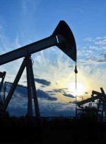 علی رغم کندی اوپک برای افزایش عرضه ، قیمت نفت با افزایش ذخایر ایالات متحده کاهش می یابد