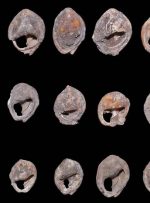 قدیمی‌ترین جواهراتی که کشف‌ شده‌اند