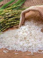 مروری بر جزییات معاملات گواهی سپرده برنج در بورس کالا