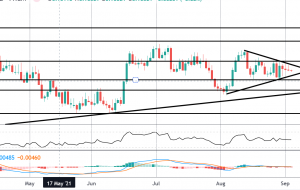 معاملات NFP آگوست |  تیکمیل