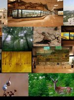 نقش موزه‌ها و مراکز علم در حفاظت از محیط زیست